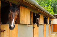 free Sandylane stable construction quotes